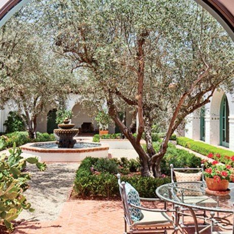 Garden patio with olive trees and outdoor dining